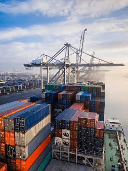 Container terminal with gantry cranes